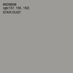 #9D9B98 - Star Dust Color Image